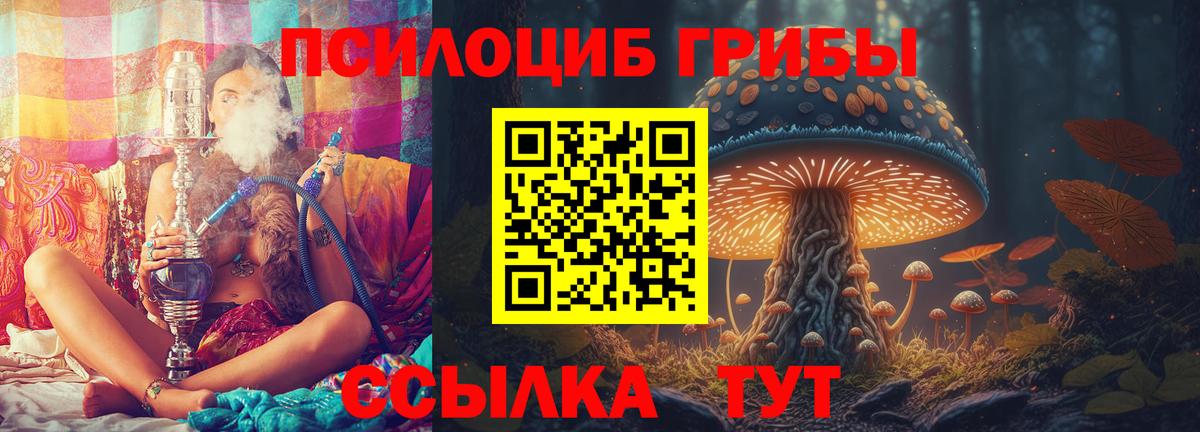 Вязьма  Галлюциногенные грибы MAGIC MUSHROOMS  Вход с VPN 
